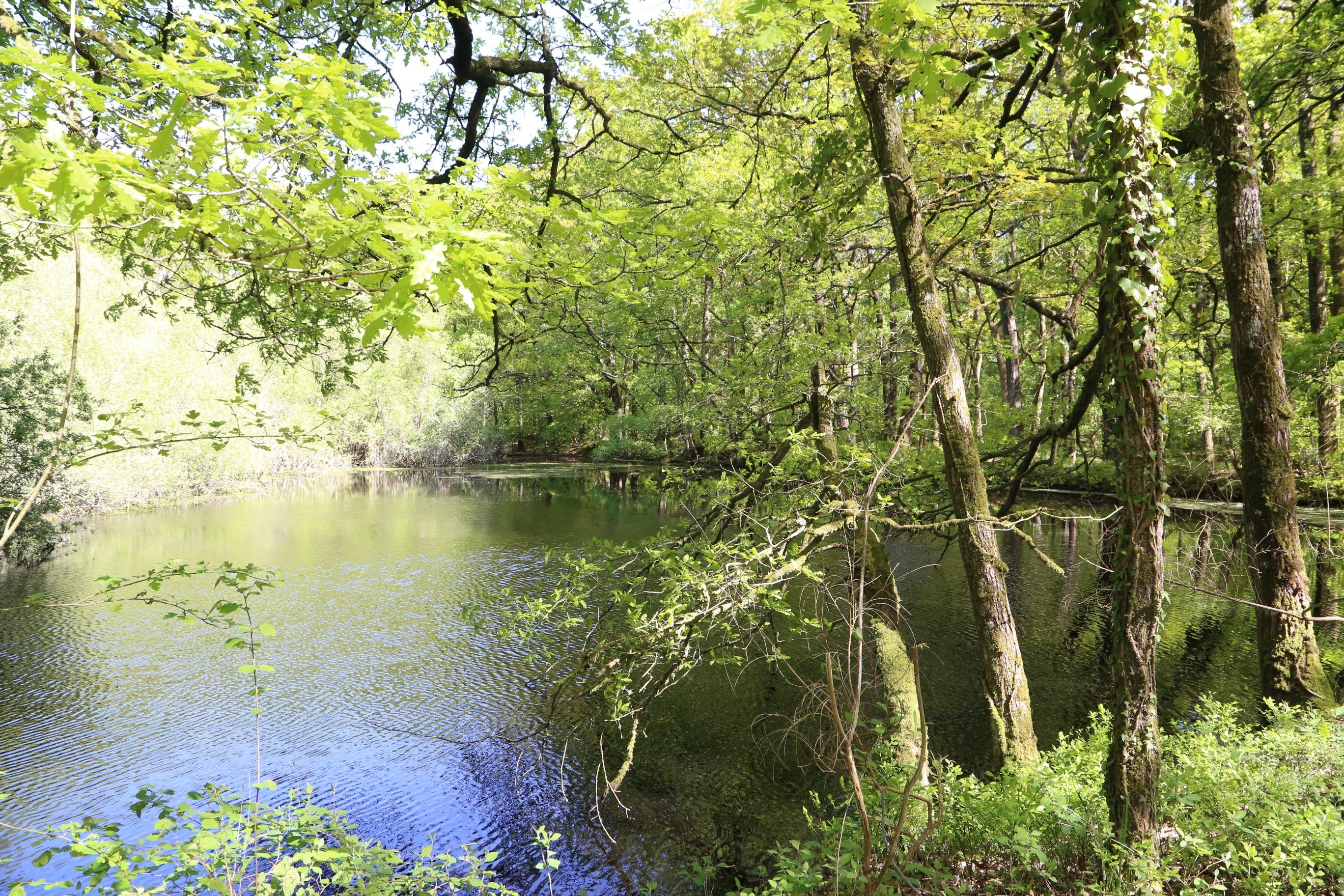Investment Property Lakes Region Investment Property Lakes Region