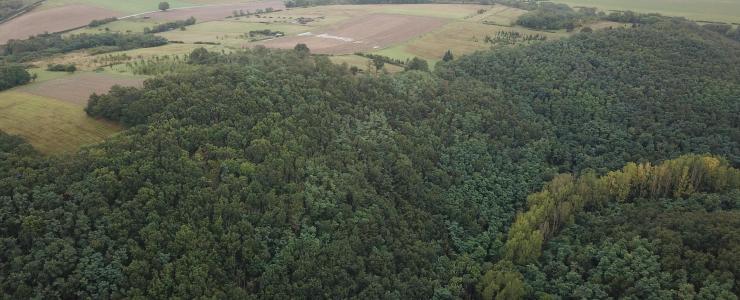 La Vente d’un Groupement Forestier par une mairie