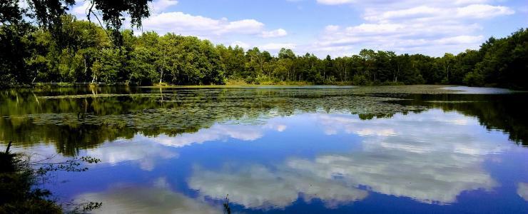 La Sologne, terre d’accueil