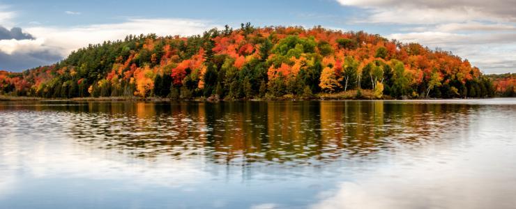 Comment gère-t-on la sylviculture au Québec ?