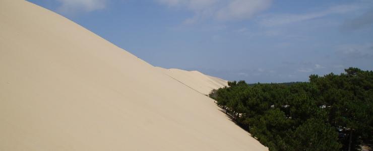 Les Lagunes des Landes