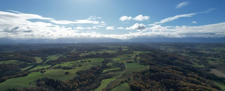 Forêt de production dans les Hautes-Pyrénées