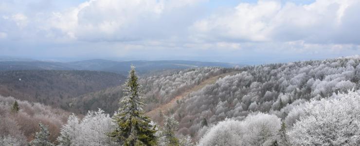 Location Domaine de Chasse et Bâti en Lozère