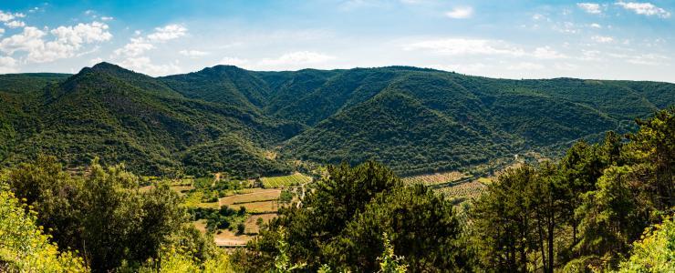 Histoire de la forêt Française