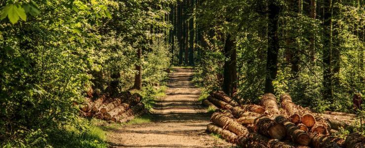 La desserte d'une propriété forestière