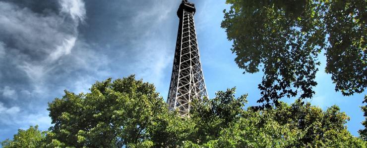 Le Bassin parisien : une riche région forestière