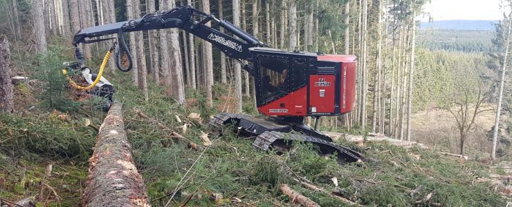 La mécanisation forestière : coupe de bois et engins