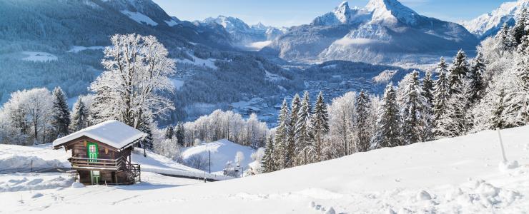 La région forestière des Alpes